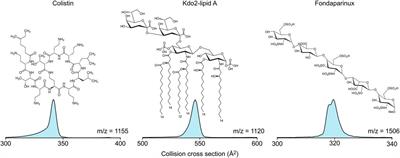 Heparin increases the antibiotic efficacy of colistin